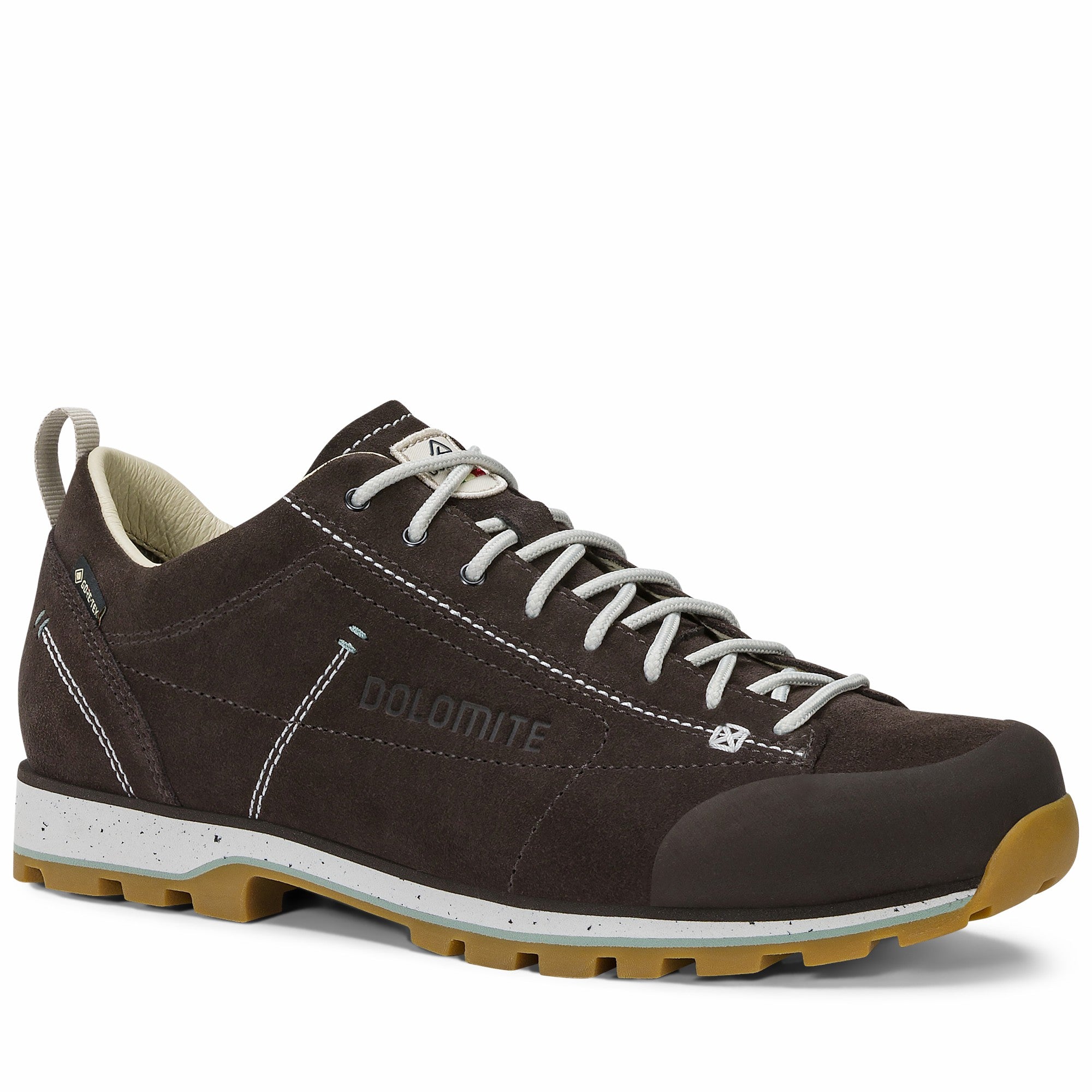 DOLOMITE 54 Low Evo GTX Shoe