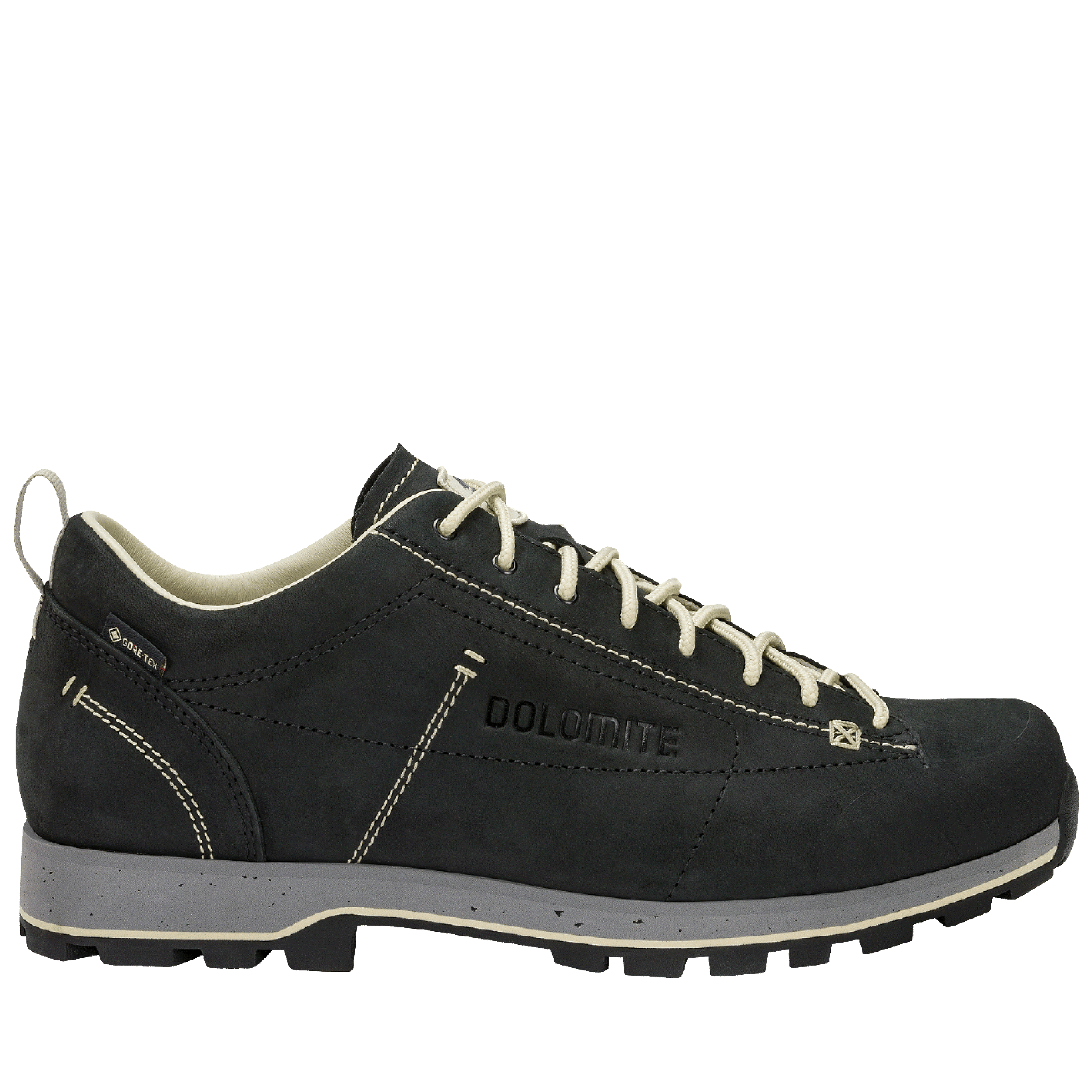 DOLOMITE 54 Low Fg Evo GORE-TEX Shoe