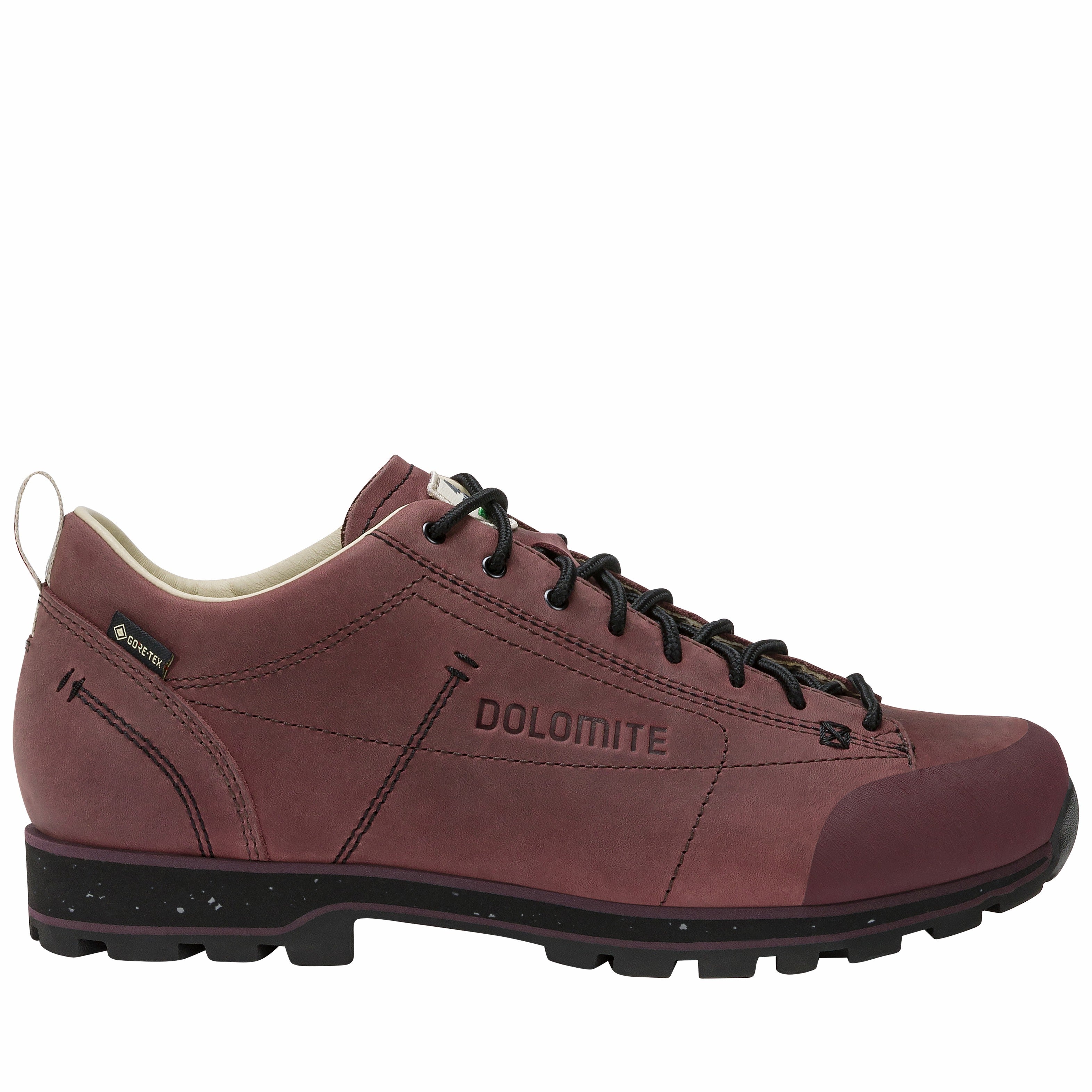 DOLOMITE 54 Low Fg Evo GORE-TEX Scarpa
