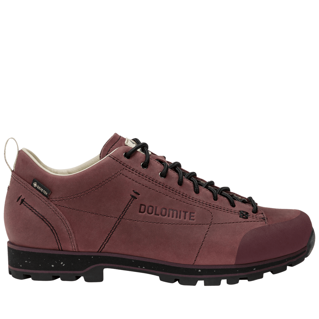 DOLOMITE 54 Low Fg Evo GORE - TEX Shoe - Dolomite